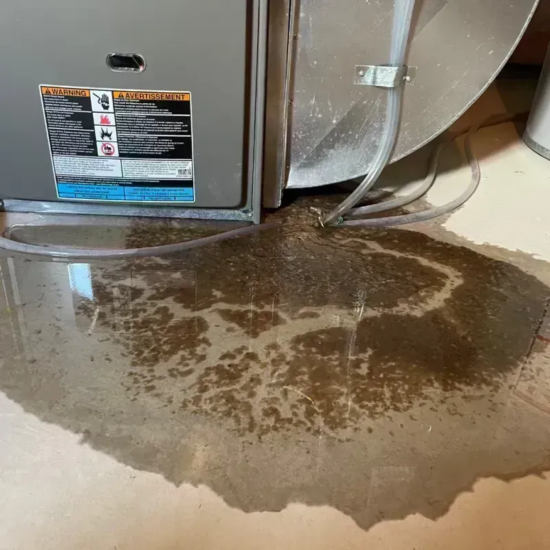 Appliance Leak Cleanup in Marthasville, MO